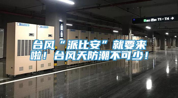 臺風(fēng)“派比安”就要來(lái)啦！臺風(fēng)天防潮不可少！
