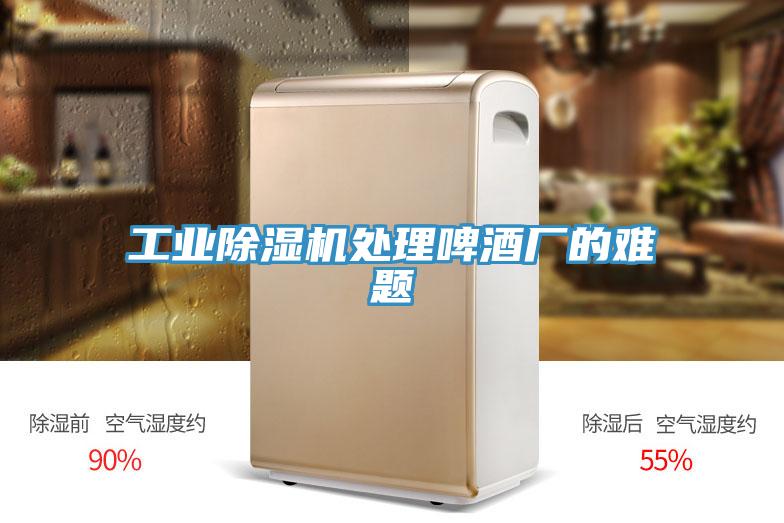 工業(yè)除濕機處理啤酒廠(chǎng)的難題
