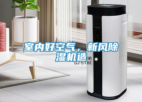 室內好空氣，新風(fēng)除濕機造