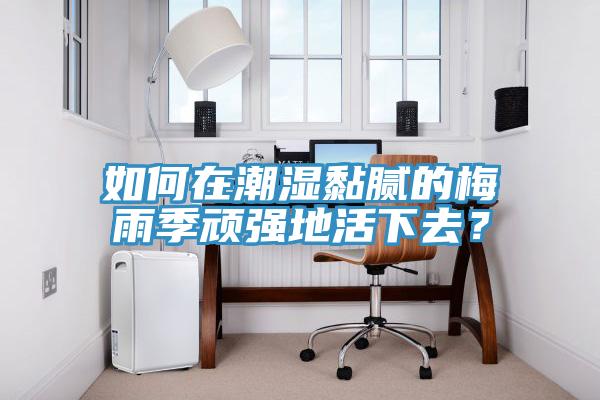 如何在潮濕黏膩的梅雨季頑強地活下去？