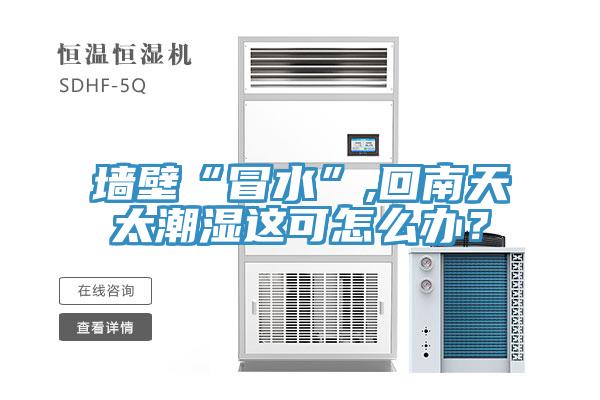 墻壁“冒水”,回南天太潮濕這可怎么辦？