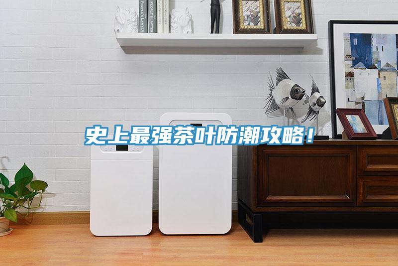 史上最強茶葉防潮攻略！