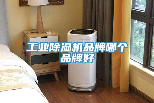 工業(yè)除濕機品牌哪個(gè)品牌好