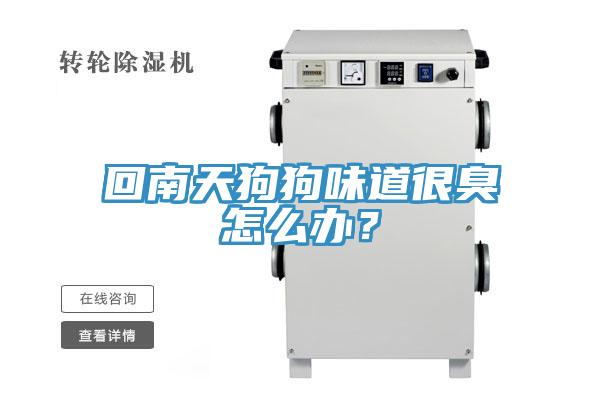 回南天狗狗味道很臭怎么辦？