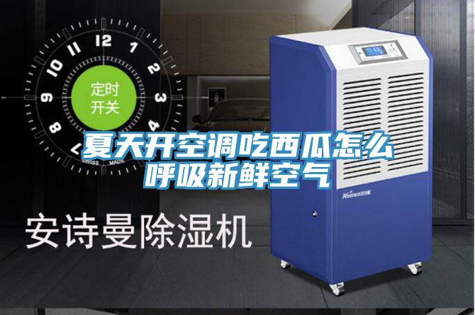 夏天開(kāi)空調吃西瓜怎么呼吸新鮮空氣