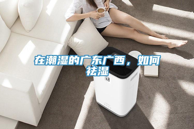 在潮濕的廣東廣西，如何祛濕