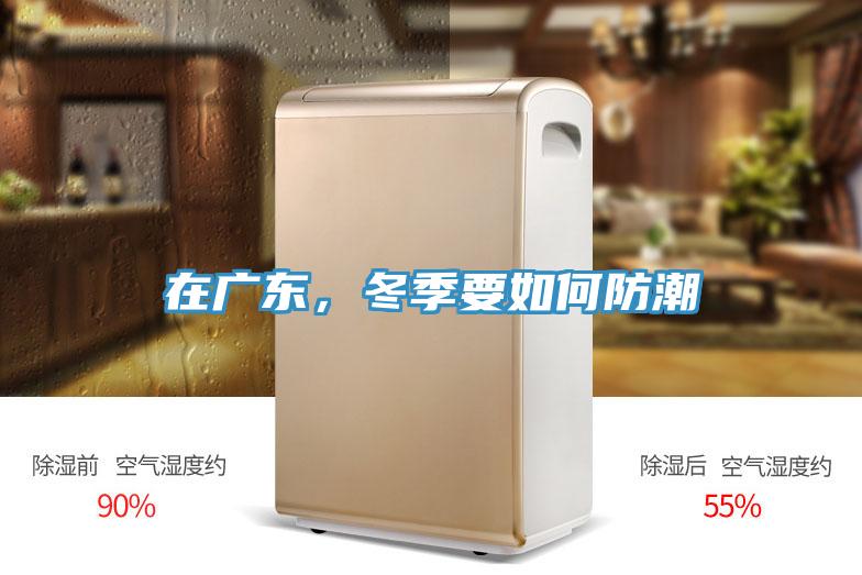 在廣東，冬季要如何防潮