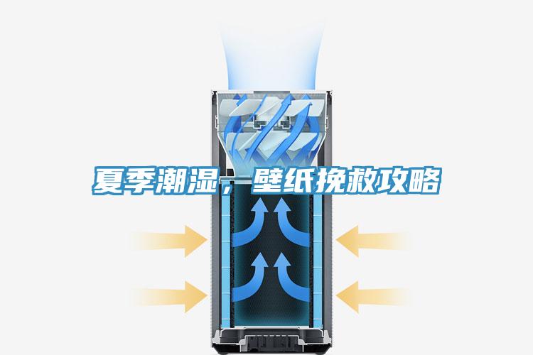 夏季潮濕，壁紙挽救攻略
