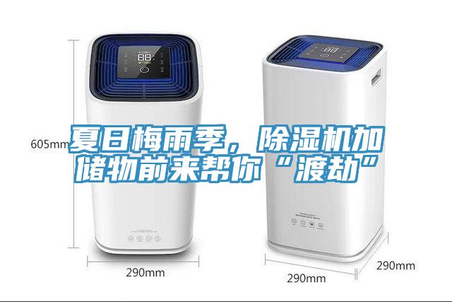夏日梅雨季，除濕機加儲物前來(lái)幫你“渡劫”