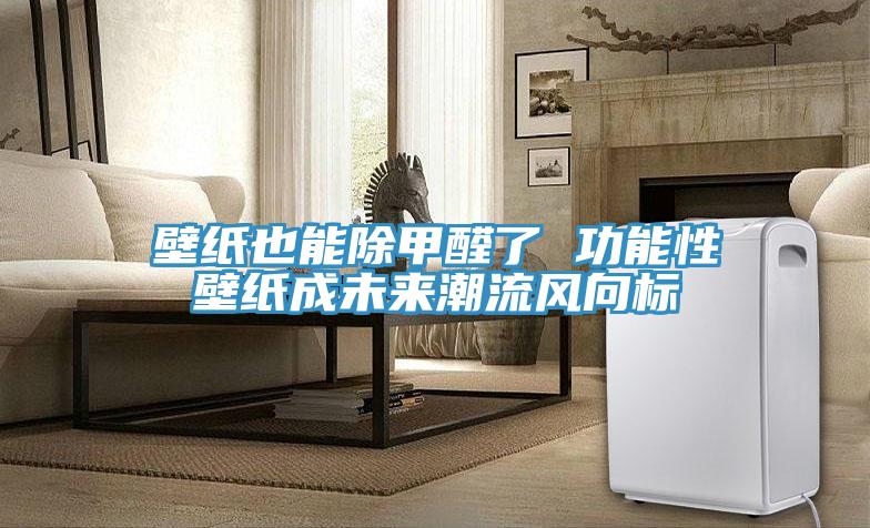壁紙也能除甲醛了 功能性壁紙成未來(lái)潮流風(fēng)向標