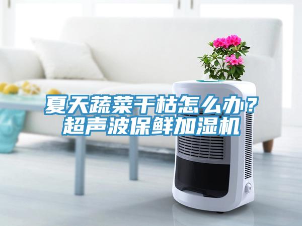 夏天蔬菜干枯怎么辦？超聲波保鮮加濕機