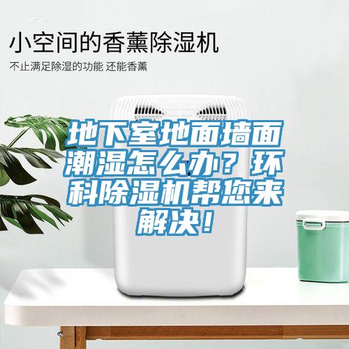 地下室地面墻面潮濕怎么辦？環(huán)科除濕機幫您來(lái)解決！
