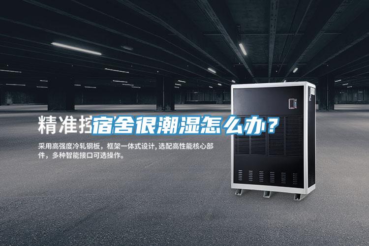 宿舍很潮濕怎么辦？