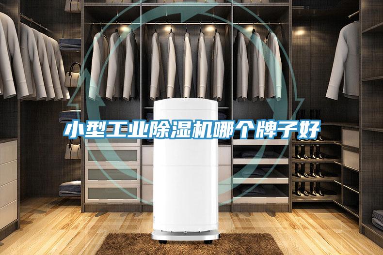 小型工業(yè)除濕機哪個(gè)牌子好