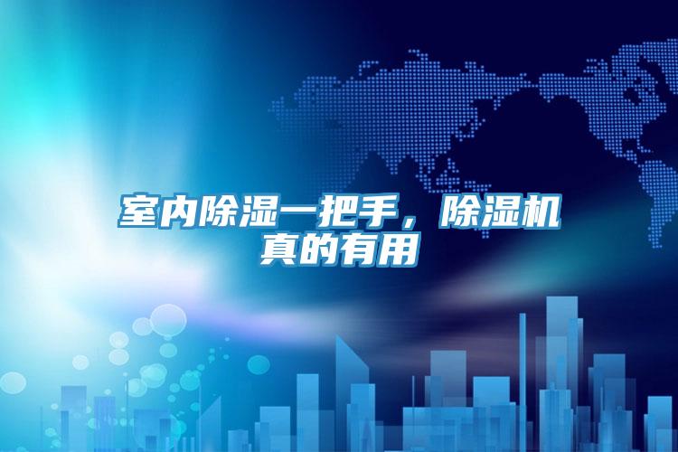室內除濕一把手，除濕機真的有用