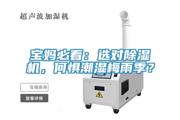 寶媽必看：選對除濕機，何懼潮濕梅雨季？