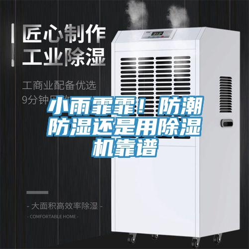 小雨霏霏！防潮防濕還是用除濕機靠譜