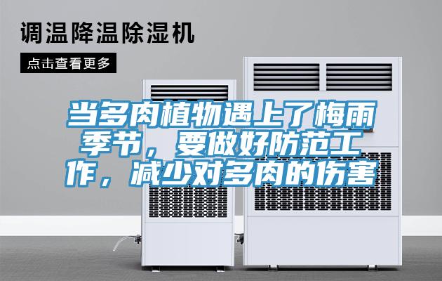 當多肉植物遇上了梅雨季節，要做好防范工作，減少對多肉的傷害