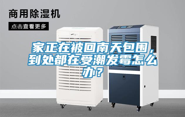 家正在被回南天包圍，到處都在受潮發(fā)霉怎么辦？