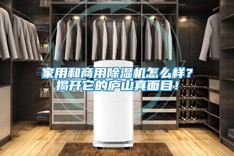 家用和商用除濕機怎么樣？揭開(kāi)它的廬山真面目！