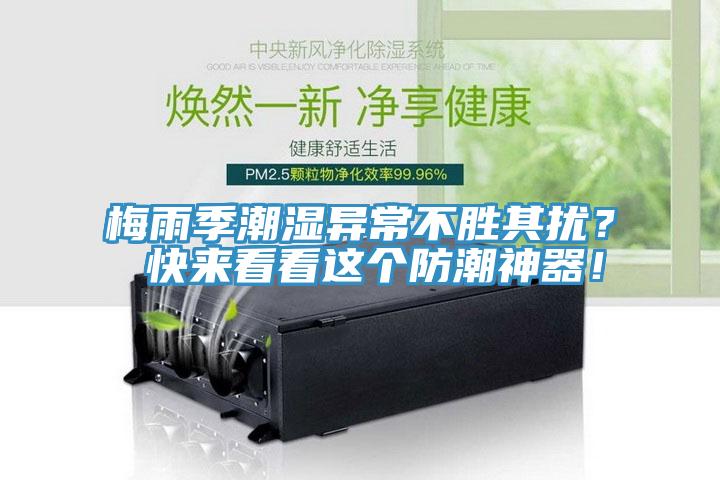 梅雨季潮濕異常不勝其擾？ 快來(lái)看看這個(gè)防潮神器！