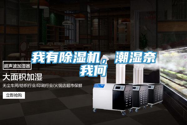 我有除濕機，潮濕奈我何