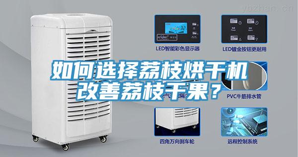 如何選擇荔枝烘干機改善荔枝干果？