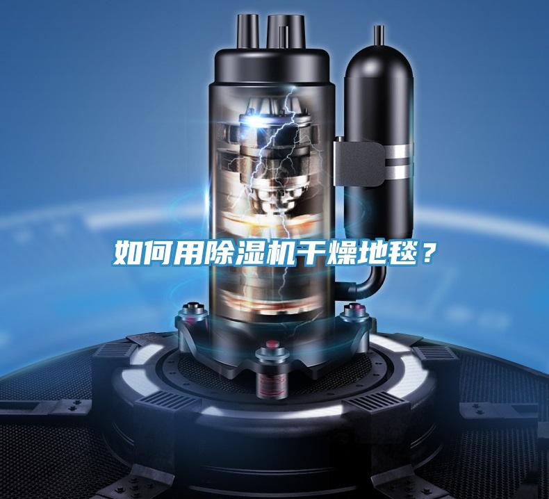 如何用除濕機干燥地毯？