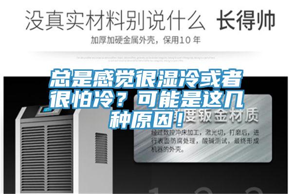總是感覺(jué)很濕冷或者很怕冷？可能是這幾種原因！