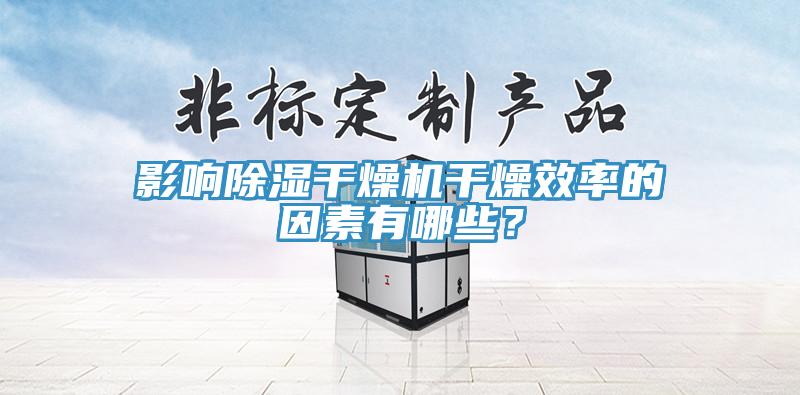 影響除濕干燥機干燥效率的因素有哪些？
