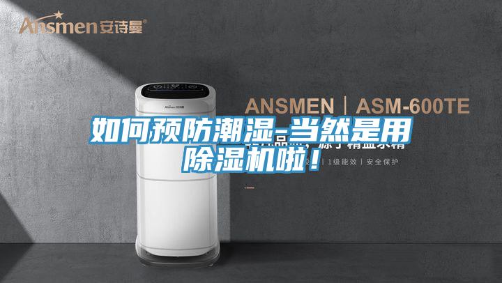 如何預防潮濕-當然是用除濕機啦！