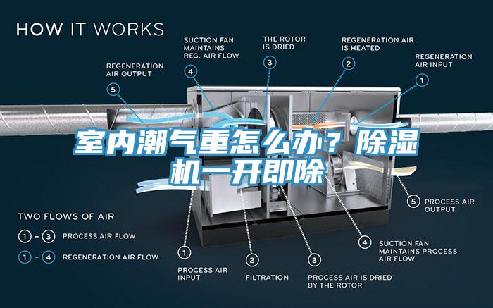 室內潮氣重怎么辦？除濕機一開(kāi)即除