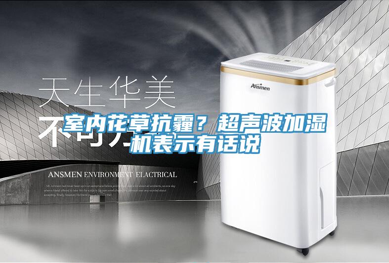 室內花草抗霾？超聲波加濕機表示有話(huà)說(shuō)