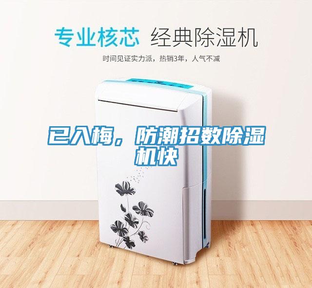 已入梅，防潮招數除濕機快