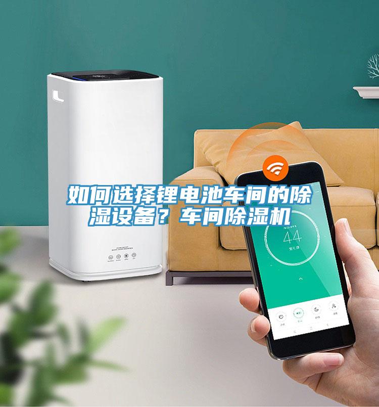 如何選擇鋰電池車(chē)間的除濕設備？車(chē)間除濕機