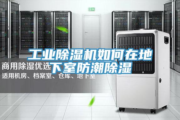 工業(yè)除濕機如何在地下室防潮除濕