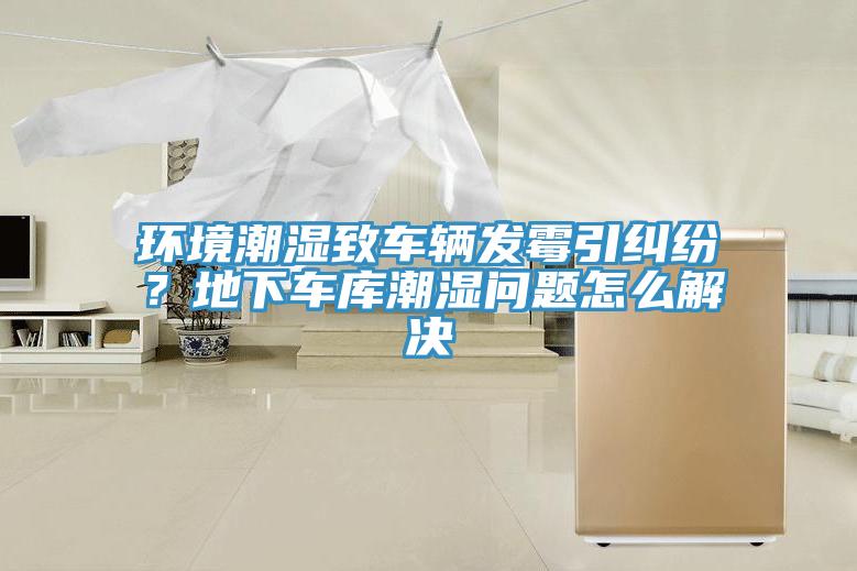 環(huán)境潮濕致車(chē)輛發(fā)霉引糾紛？地下車(chē)庫潮濕問(wèn)題怎么解決