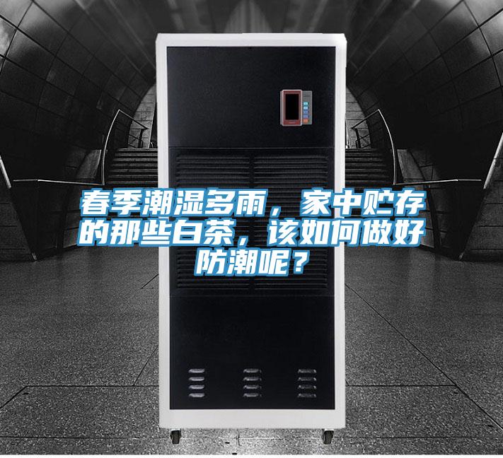 春季潮濕多雨，家中貯存的那些白茶，該如何做好防潮呢？