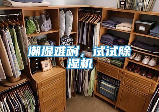 潮濕難耐，試試除濕機