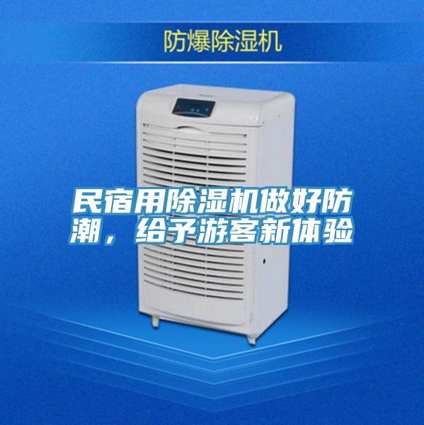 民宿用除濕機做好防潮，給予游客新體驗