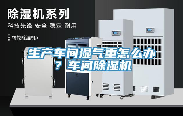 生產(chǎn)車(chē)間濕氣重怎么辦？車(chē)間除濕機