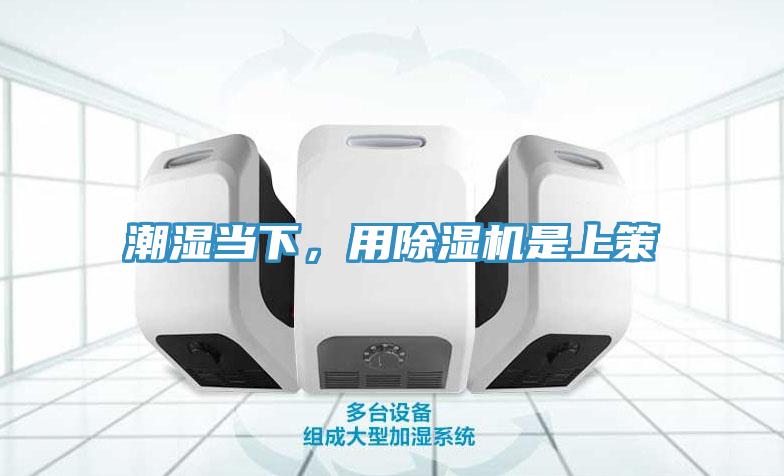 潮濕當下，用除濕機是上策