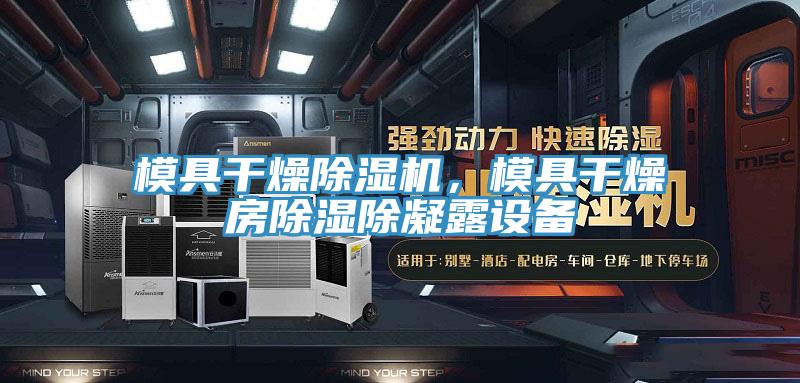 模具干燥除濕機，模具干燥房除濕除凝露設備