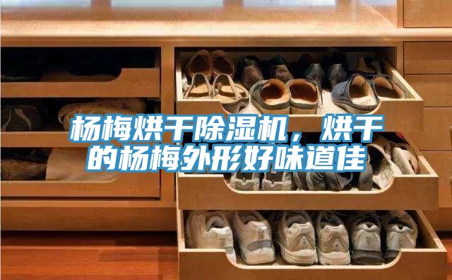 楊梅烘干除濕機，烘干的楊梅外形好味道佳