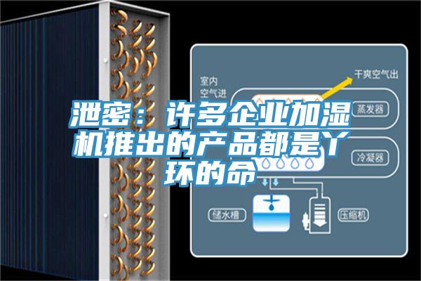 泄密：許多企業(yè)加濕機推出的產(chǎn)品都是丫環(huán)的命