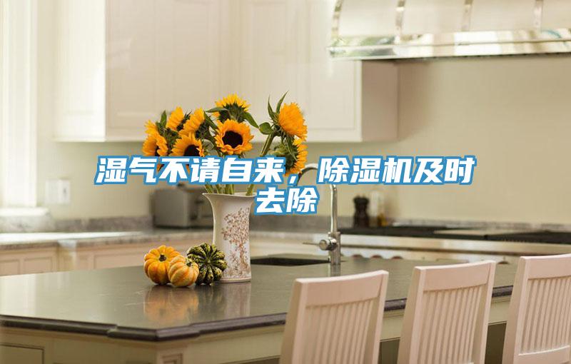 濕氣不請自來(lái)，除濕機及時(shí)去除