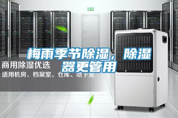 梅雨季節除濕，除濕器更管用