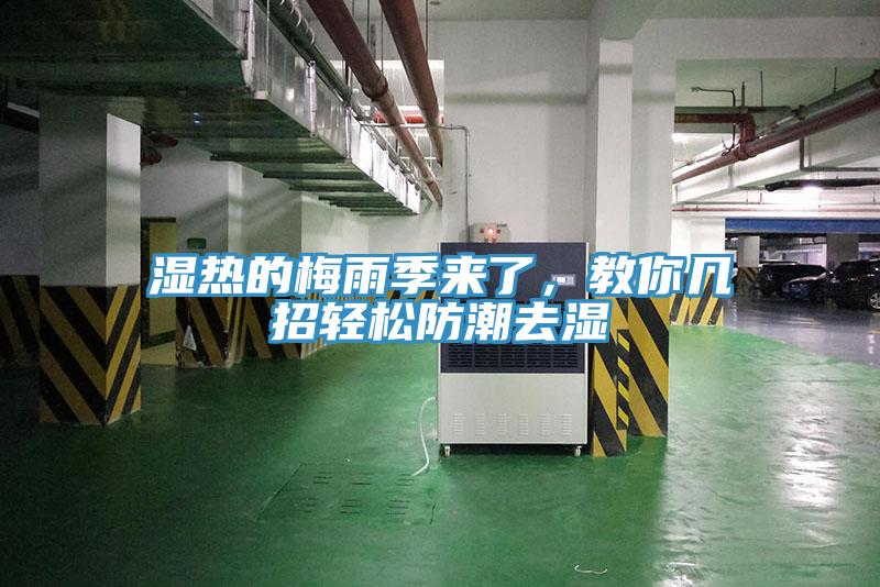 濕熱的梅雨季來(lái)了，教你幾招輕松防潮去濕