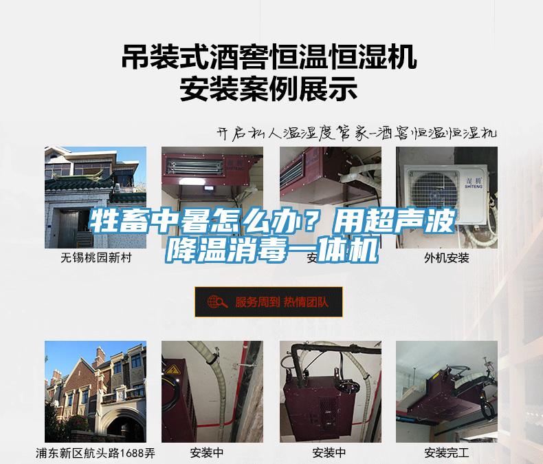 牲畜中暑怎么辦？用超聲波降溫消毒一體機