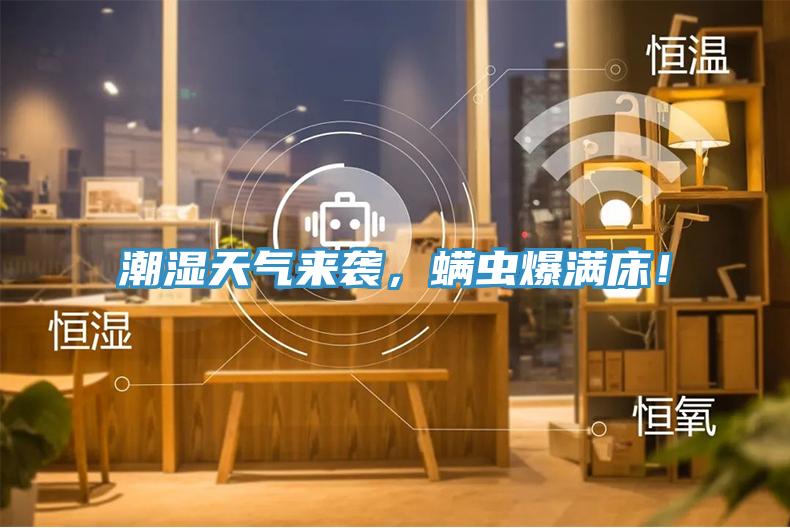 潮濕天氣來(lái)襲，螨蟲(chóng)爆滿(mǎn)床！